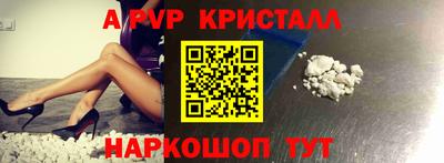 jwh Кингисепп