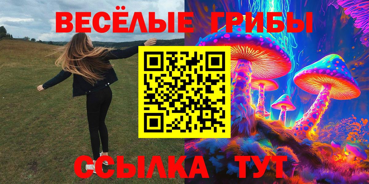 Галлюциногенные грибы Psilocybe Благовещенск
